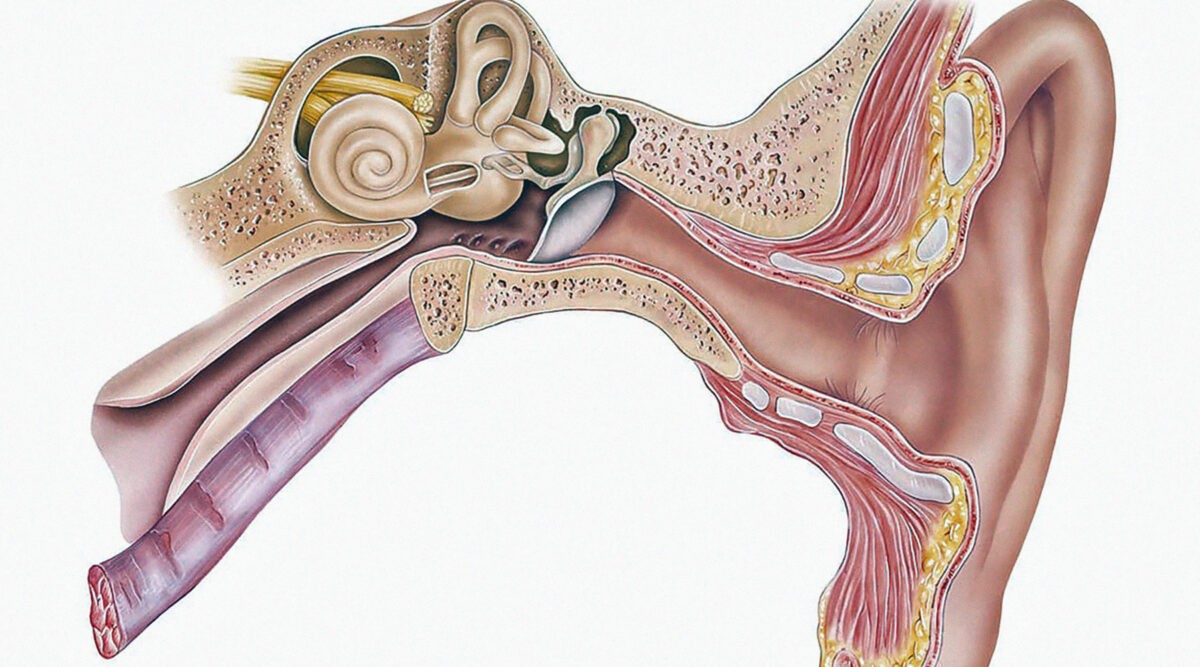 Как лечить воспаление уха в домашних условиях