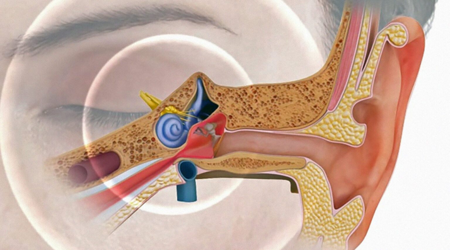 После высмаркивания заложило ухо. Отосклероз барабанная перепонка. Исследование среднего уха.